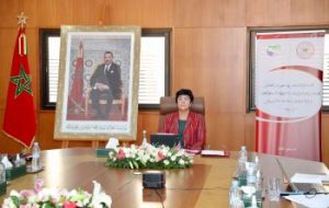Participation of the Court of Accounts in the 66th extraordinary meeting of the Executive Council of the Arab Organization of Supreme Audit Institutions (ARABOSAI)